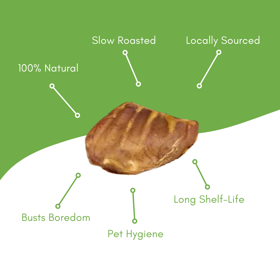 Brown pig ear dog treat with infographic callouts for slow roasted benefits