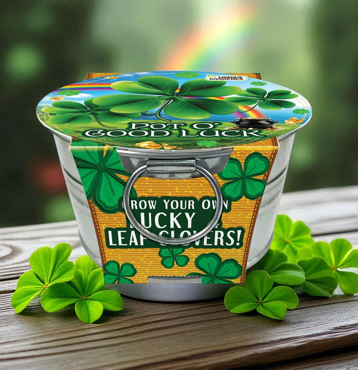 Shamrock growing kit in a printed metal pot with clover leaves beside it