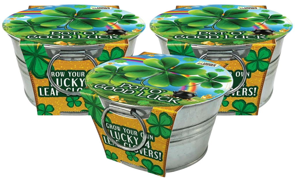 Three shamrock growing kits in metal pots with colorful clover-printed lids