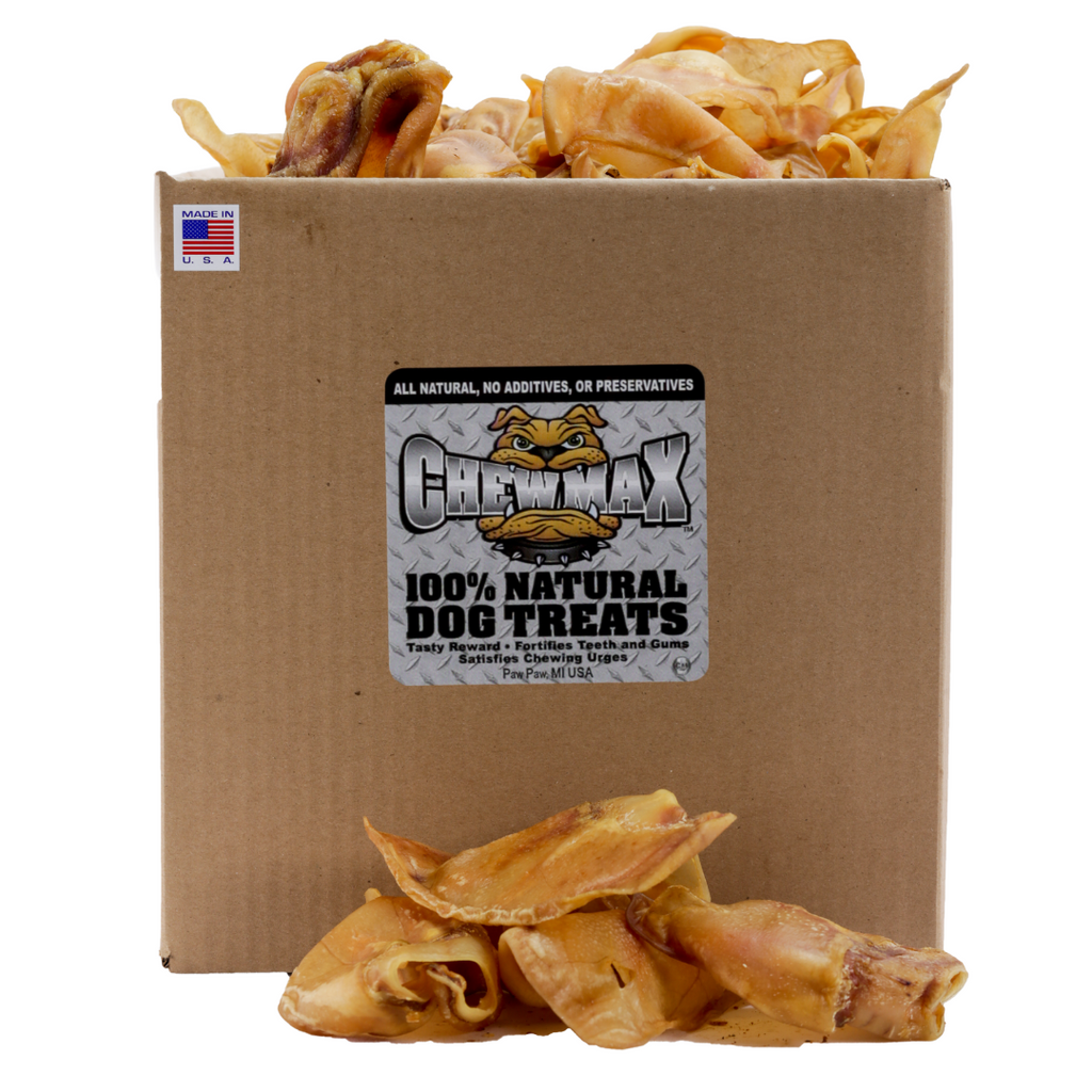 Pig ear dog treats in an open cardboard box, curled golden-brown pieces