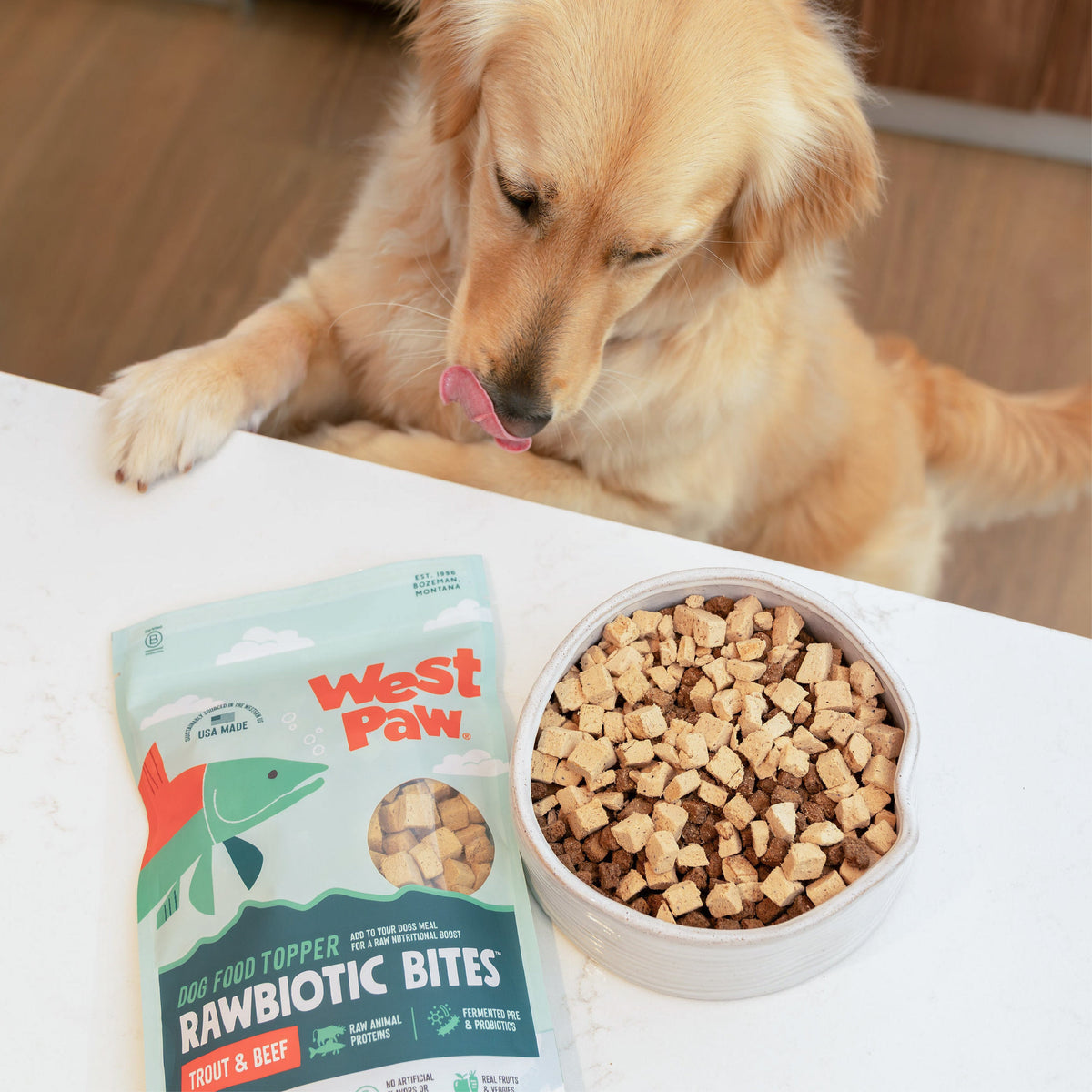 Golden retriever with West Paw rawbiotic bites pouch and bowl of dog bites