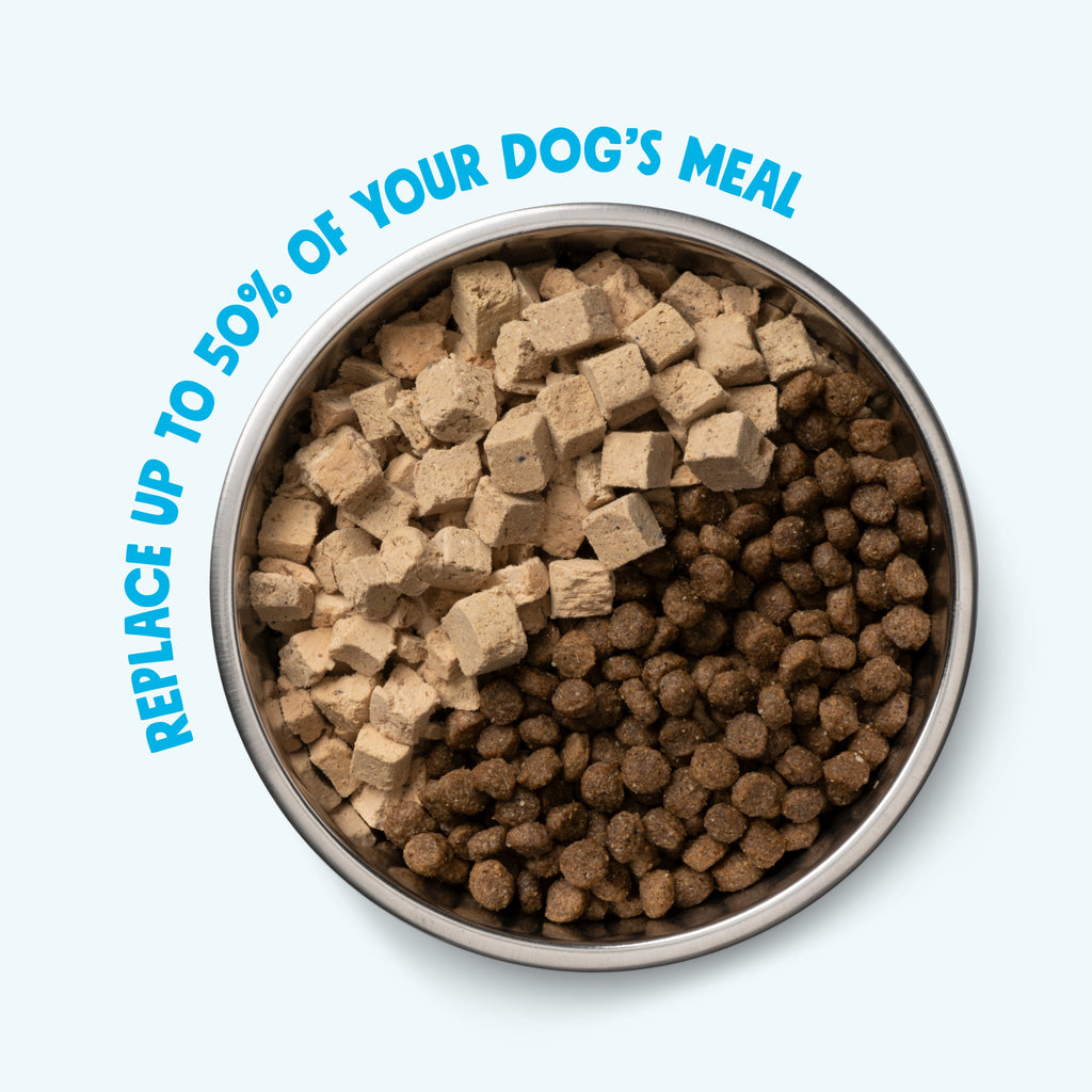 Round bowl filled with West Paw rawbiotic bites dog food topper pieces