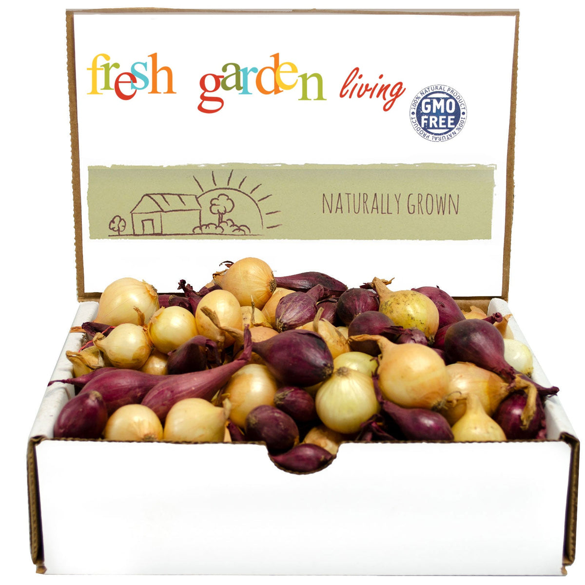 Mixed red and yellow onion sets piled in a branded display box.