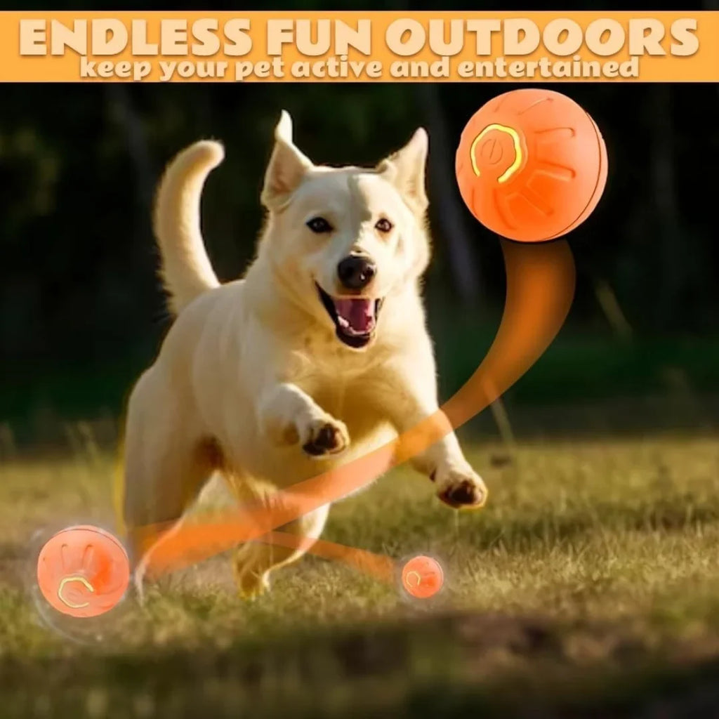 Smart electric bouncing pet ball toy, orange shell with glowing light ring