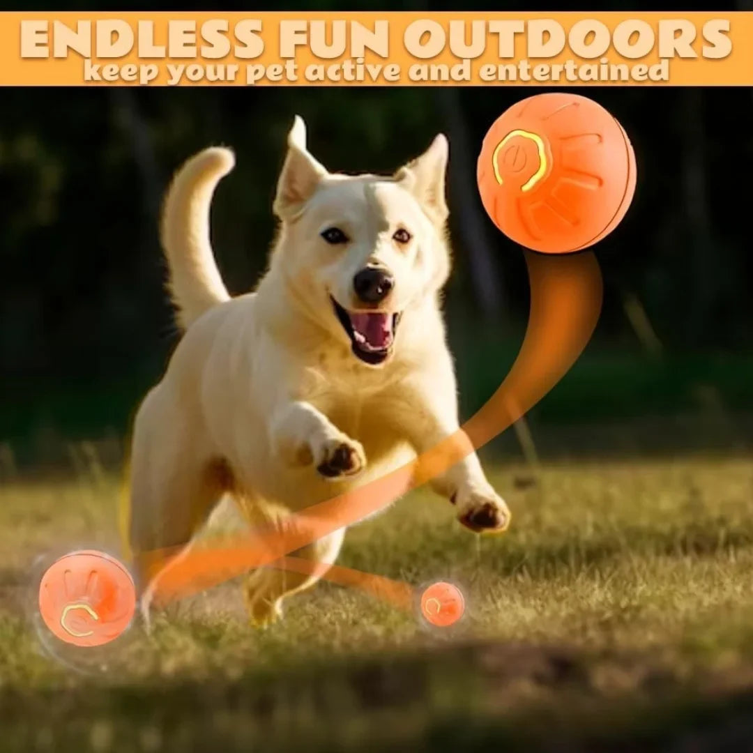 Smart electric bouncing pet ball toy, orange shell with glowing light ring