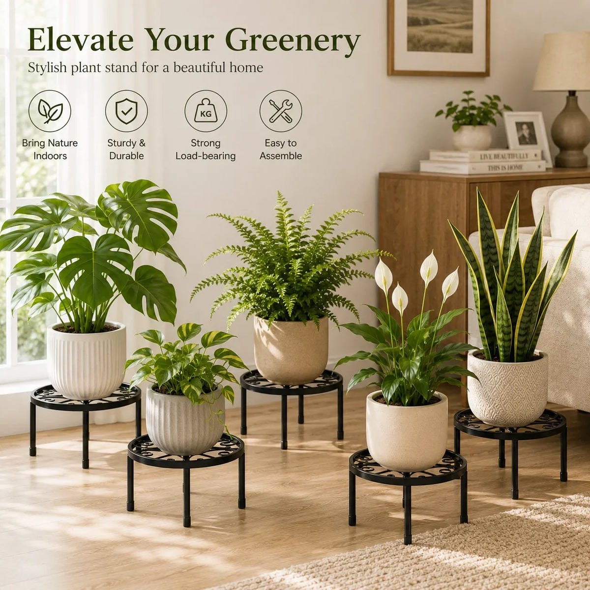 Set of black metal round plant stands with circular tops for potted plants