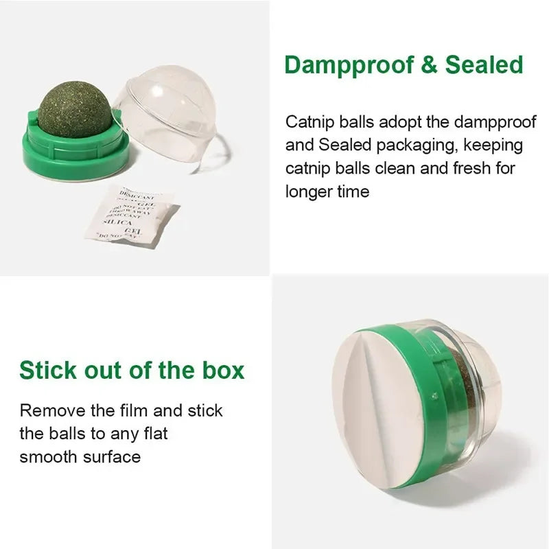 Catnip wall ball toy with green base, clear cover, and sealed storage packet