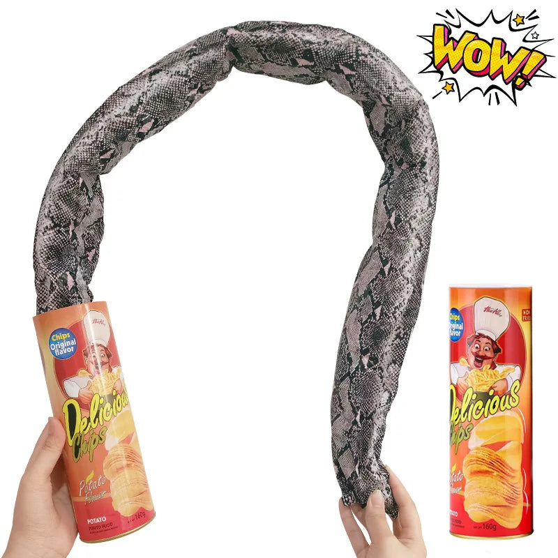 Chip can and coiled snake spring toy with dark gray, black-and-white scales.