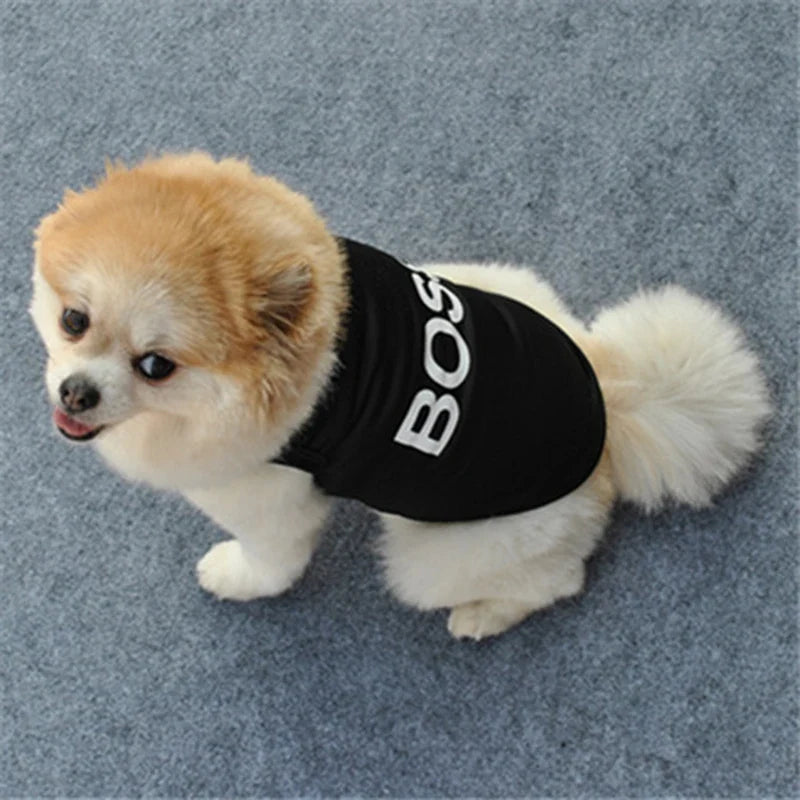 Black dog t-shirt with Bobo graphic on the chest