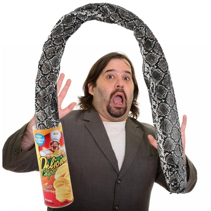 Spring snake prank toy next to chip can, coiled long gray patterned body.