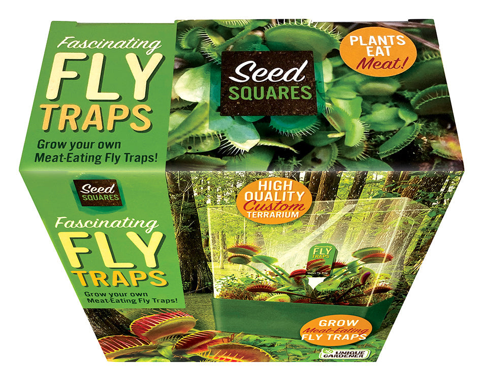 Venus flytrap seed terrarium kit in its printed retail box