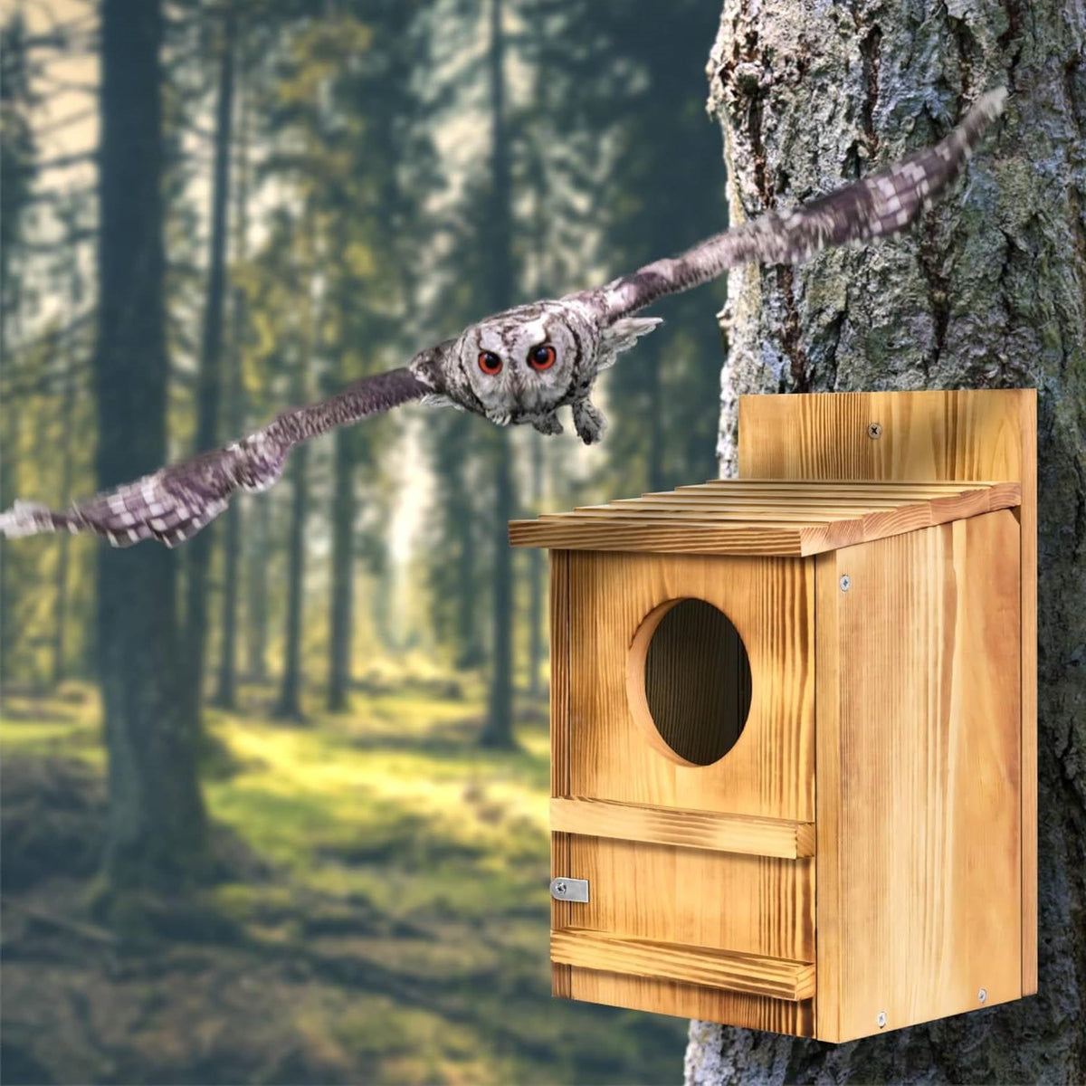 Wooden owl birdhouse mounted on a tree with an oval entrance opening