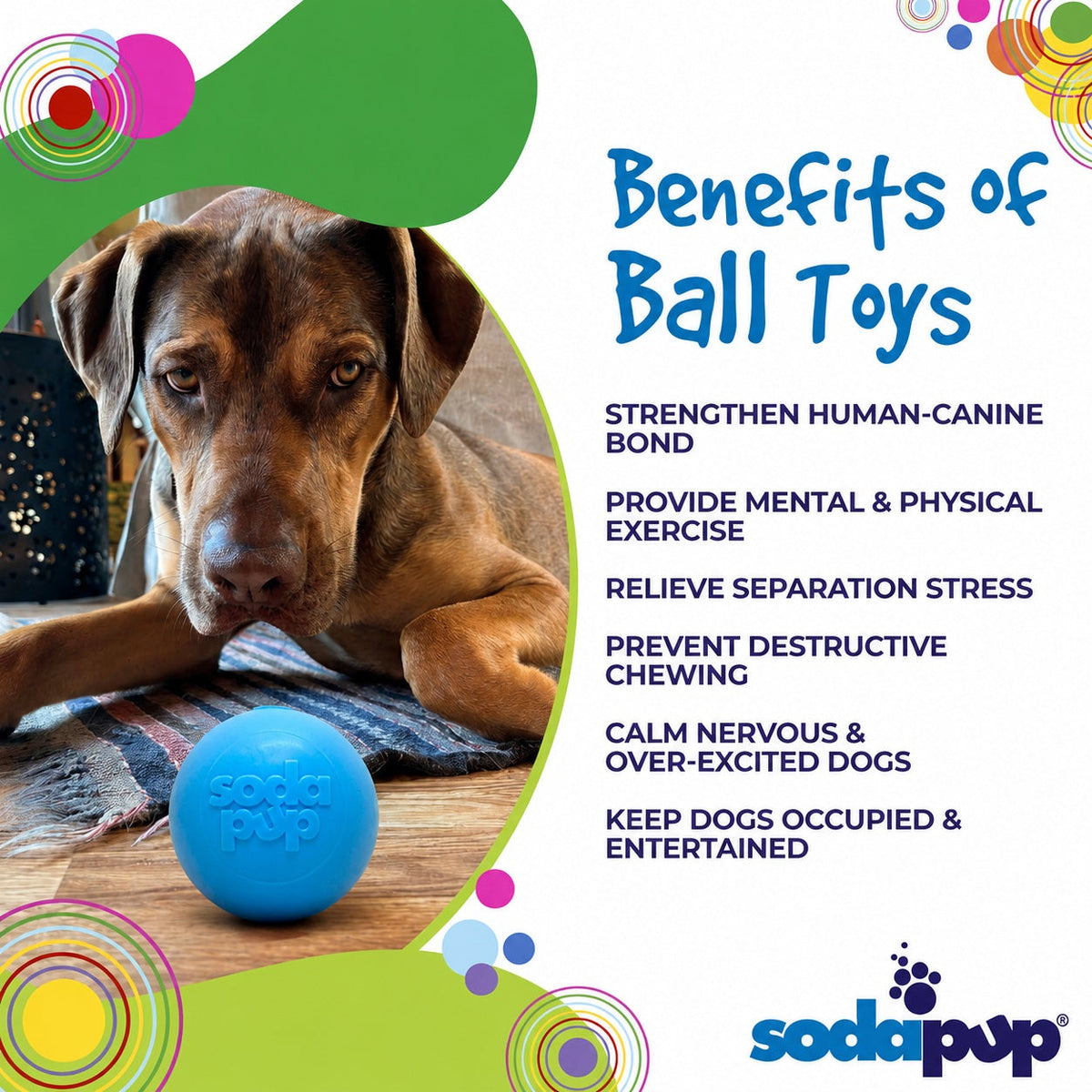Blue squeaky dog ball with Soda Pup embossed logo beside a resting dog