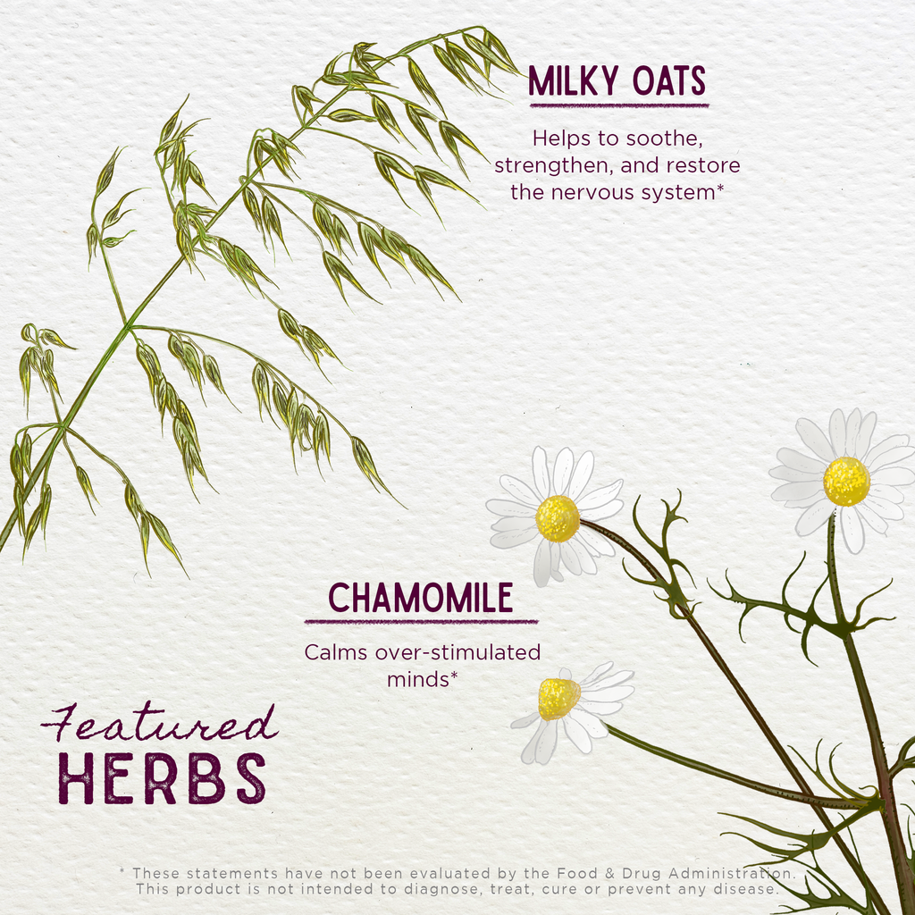 Milky oats and chamomile herb infographic for nervous system support
