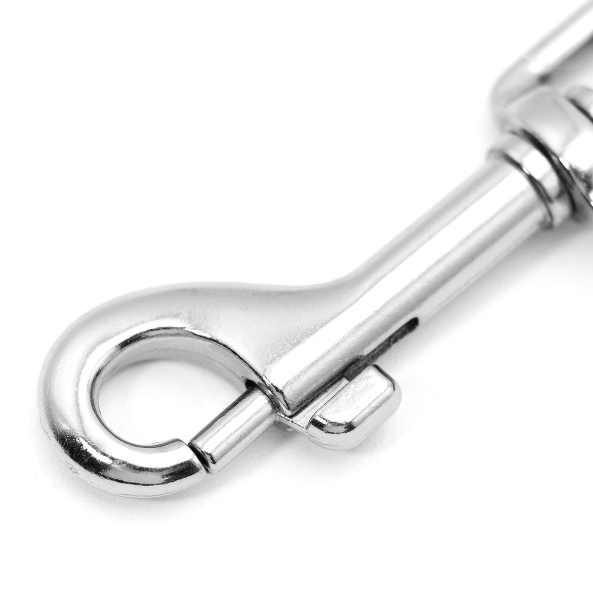 Chrome swivel snap hook and D-ring on a 1-ply web nylon dog leash.
