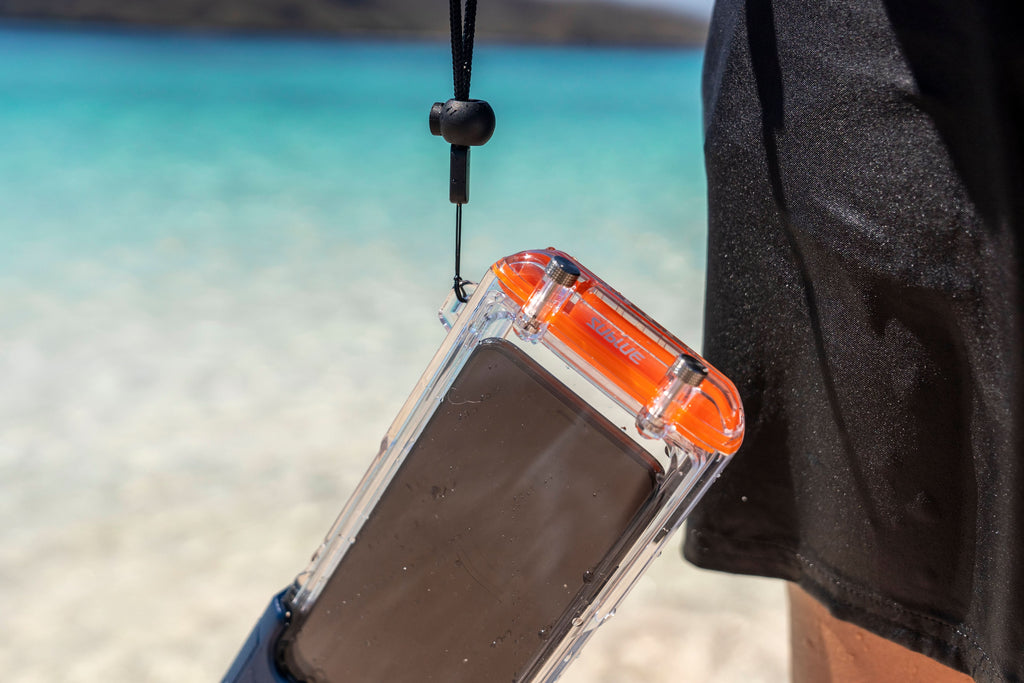 Clear waterproof phone case with lanyard, phone facing the front window.