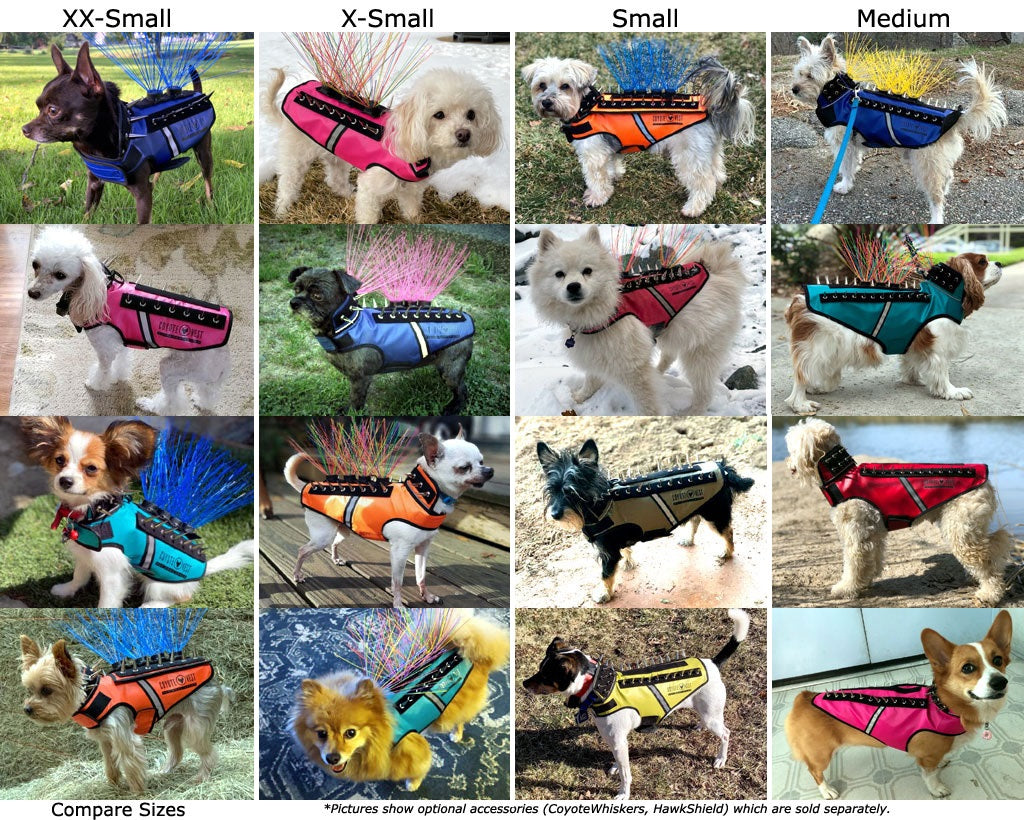 Dog spike protection vests in multiple sizes on dogs, featuring black edging and metal spikes