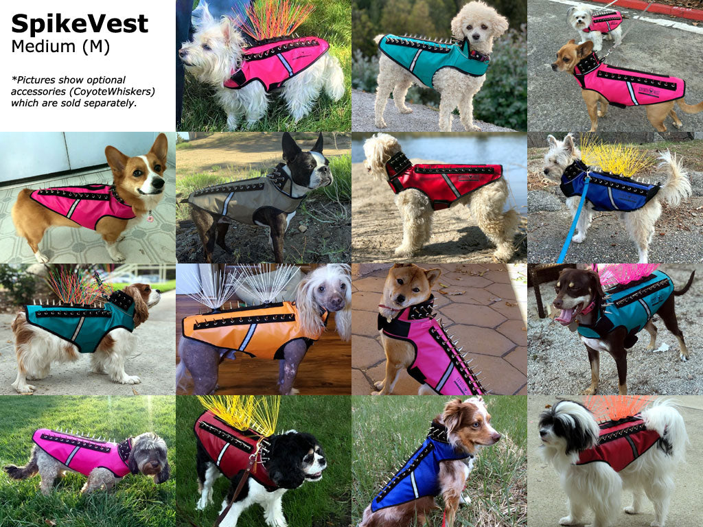 Medium dog spike protection vests in teal, pink, blue, and orange with chrome spikes