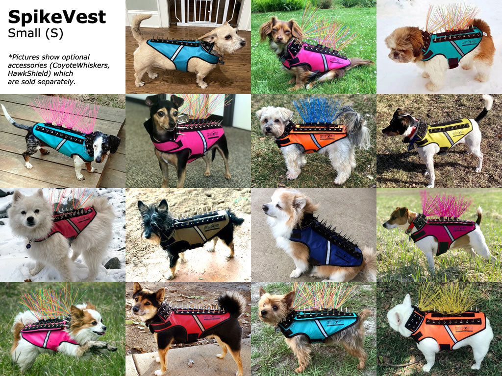 Small dog spike protection vests in teal, pink, orange, and yellow with chrome spikes
