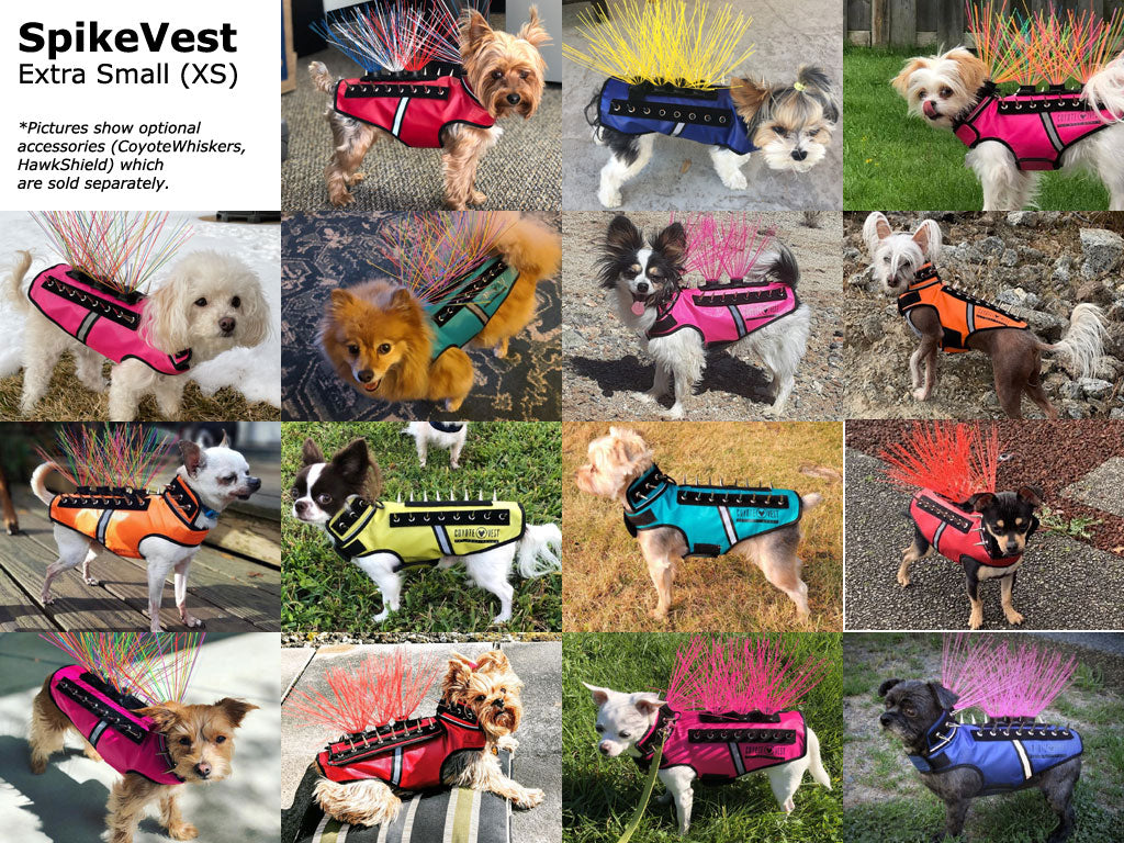Extra small dog spike protection vests in pink, blue, orange, and neon colors with spikes