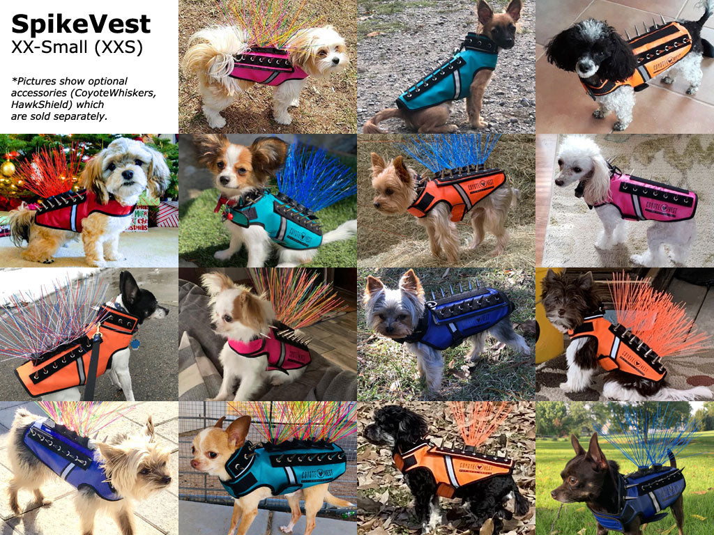 Small dog spike protection vests in orange, blue, pink, and green with chrome spikes