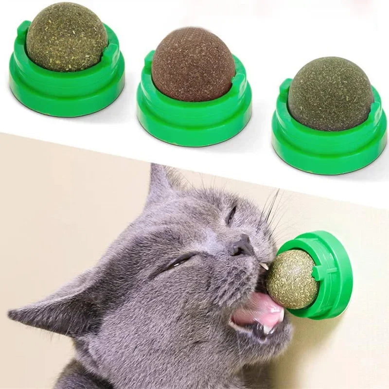 Cat wall ball toy with green base and textured green catnip ball, attached to cat grass