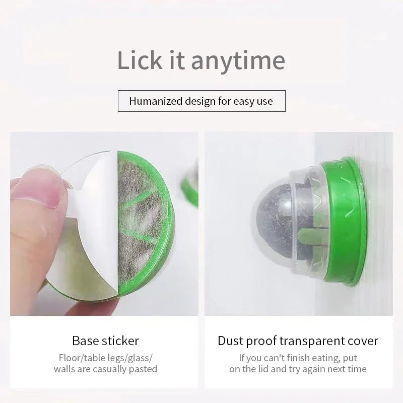 Catnip wall ball toy with clear dustproof cover and green textured ball on base