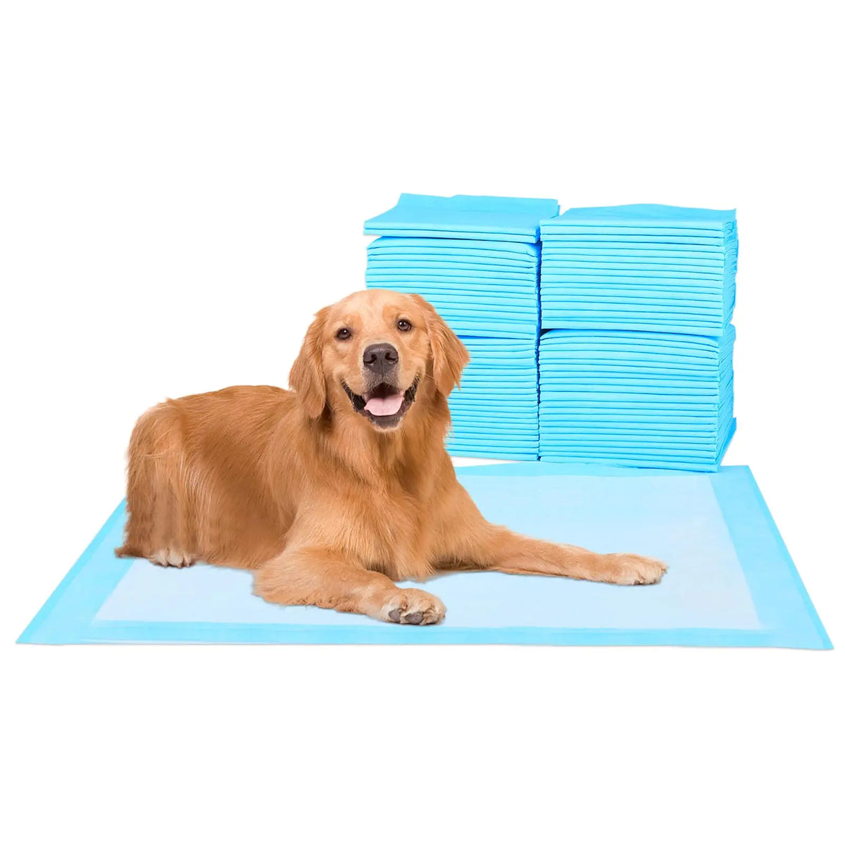 Blue leakproof dog pee pad with stacked pads behind a sitting dog