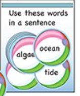 Mini notepad with colorful circular beach-themed design featuring ocean and tide words