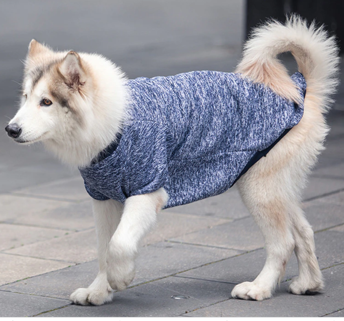 Navy winter pet sweater with high collar and long sleeves, heather knit pullover