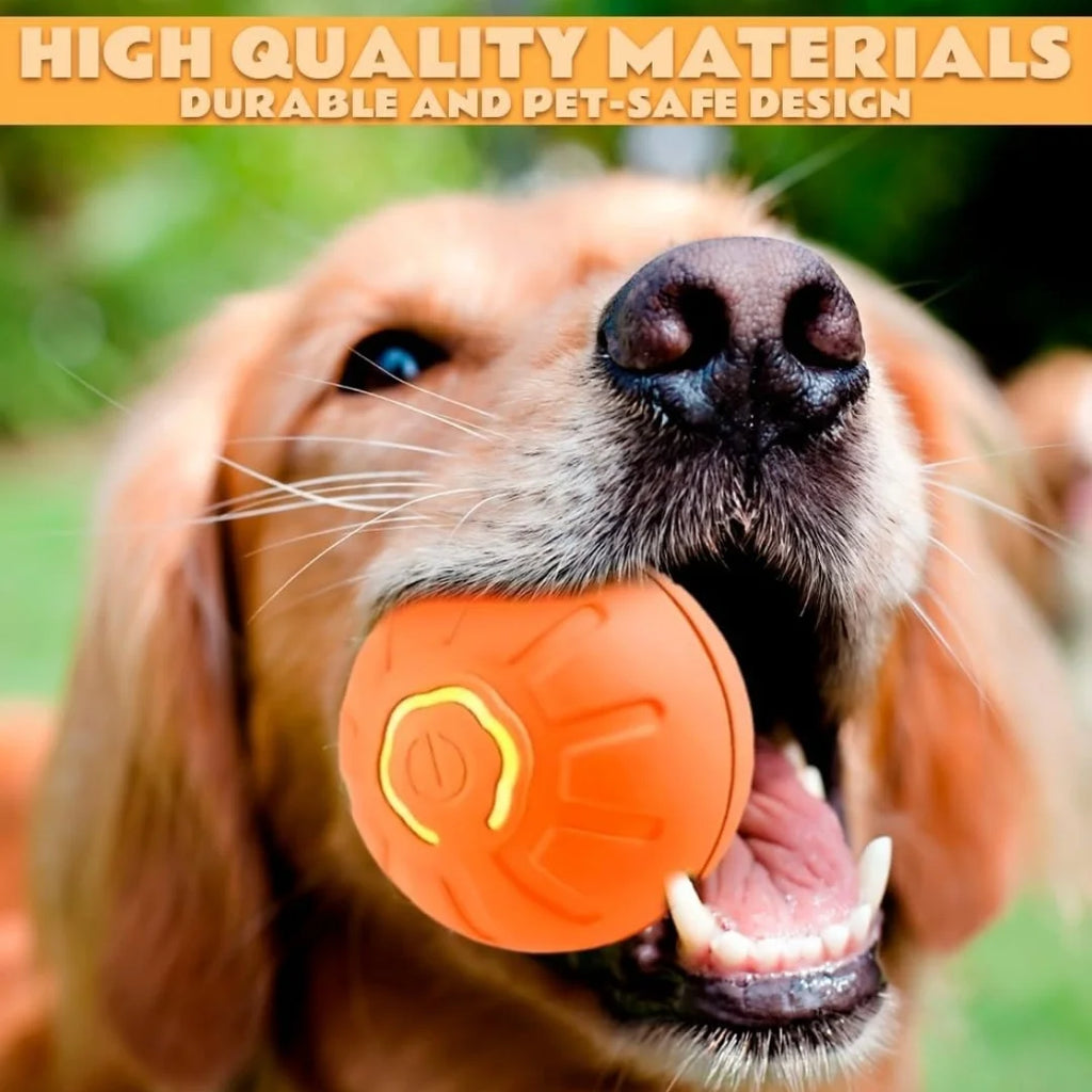 Orange smart electric bouncing pet ball toy with glowing light ring held near a dog
