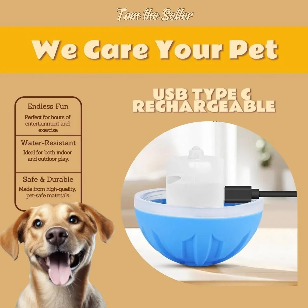USB rechargeable smart pet ball with blue charging base and transparent top