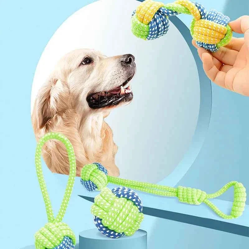 Dog playing tug with braided cotton rope toy in green and blue, held by a hand