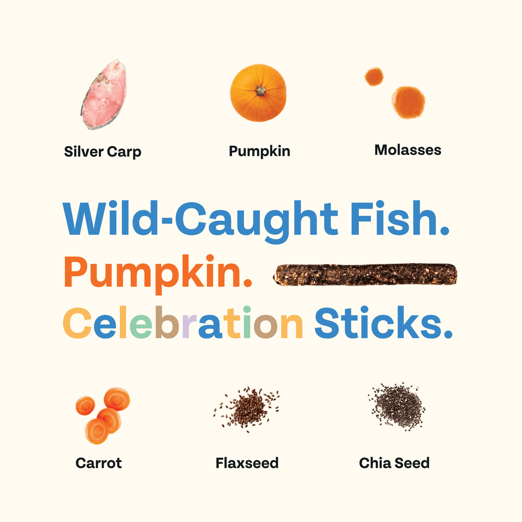 Wild-Caught Fish and Pumpkin celebration sticks dog treat graphic
