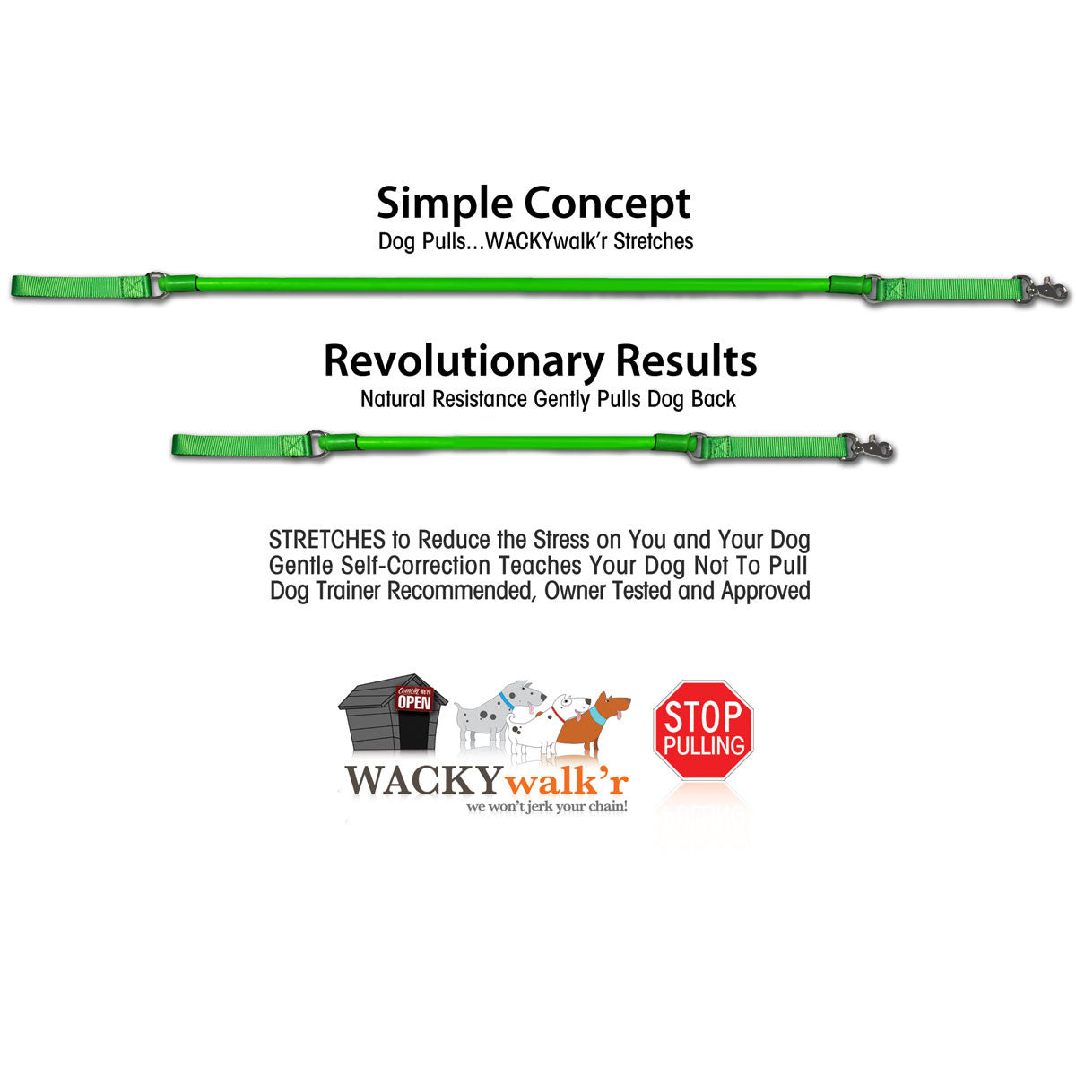 Green no-pull dog leash with metal clasp and adjustable strap