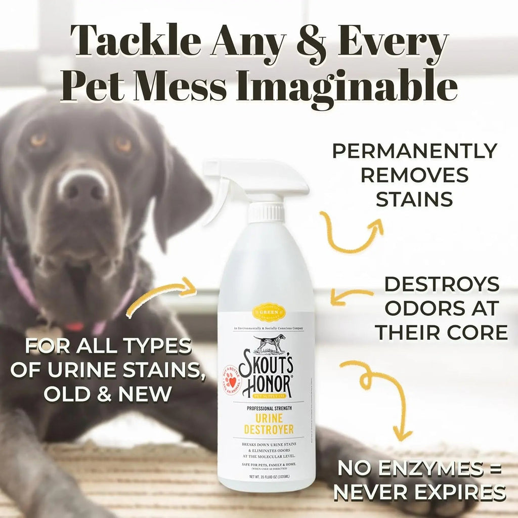 Skout's Honor urine destroyer spray bottle on carpet with dog nearby