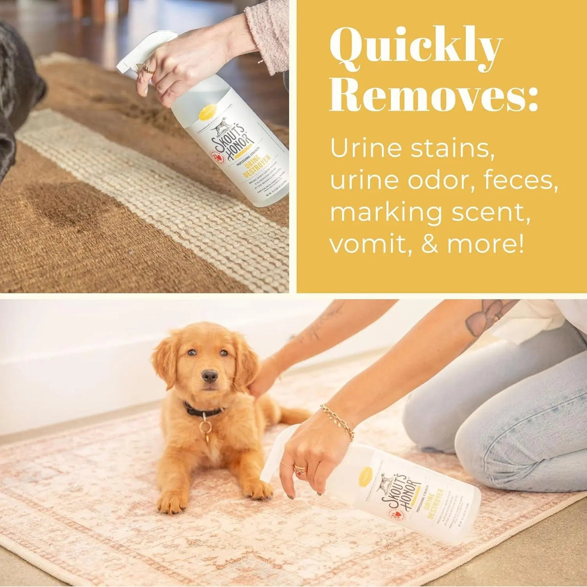 Skout's Honor urine destroyer spray bottle being used on carpet with dog