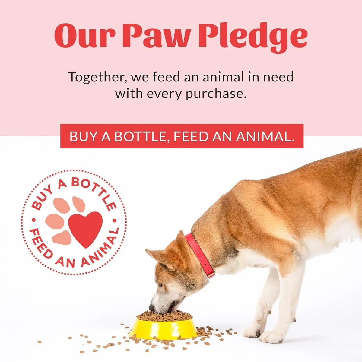 Skout's Honor paw pledge graphic with dog near feeding bowl