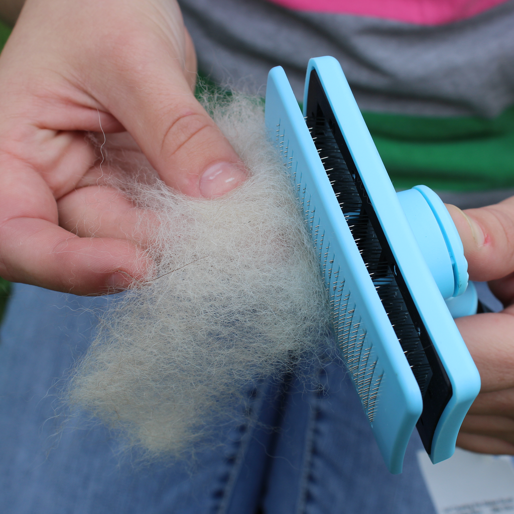 Close-up of blue pet slicker brush bristles removing loose fur