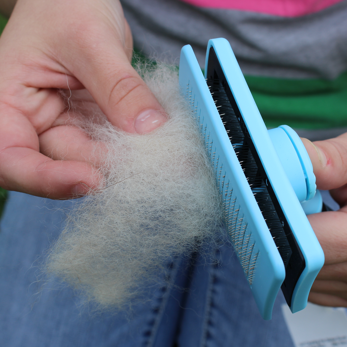 Close-up of blue pet slicker brush bristles removing loose fur