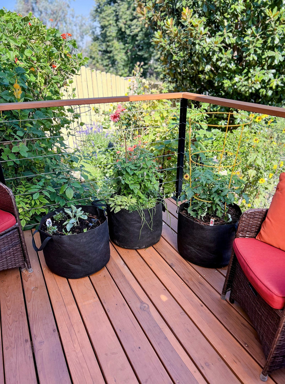 Three black fabric vegetable planters with leafy plants on a wooden outdoor deck