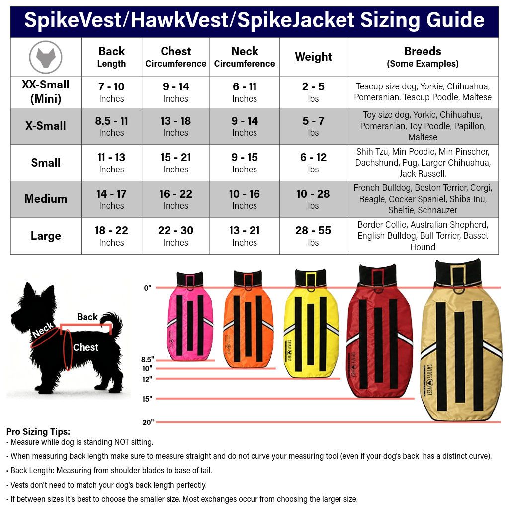 Dog spike vest sizing guide with chest, neck, and weight measurements and multiple colors