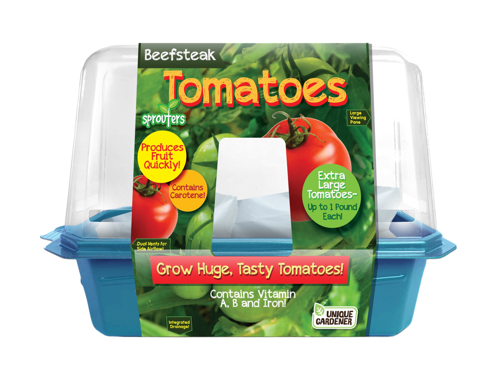 Beefsteak tomato sprouter terrarium kit in a clear dome with a blue base and printed sleeve