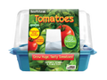 Beefsteak tomato sprouter terrarium kit in a clear dome with a blue base and printed sleeve