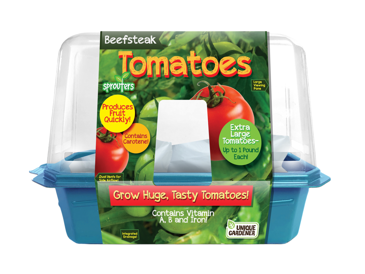 Beefsteak tomato sprouter terrarium kit in a clear dome with a blue base and printed sleeve