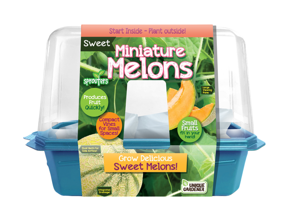Mini melons sprouter terrarium kit in a blue base with clear lid and colorful product label