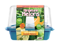Mini melons sprouter terrarium kit in a blue base with clear lid and colorful product label