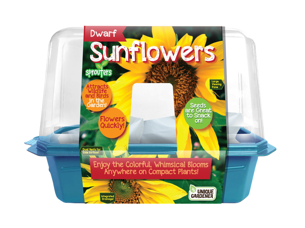 Dwarf sunflower sprouter terrarium kit in a blue tray with a clear dome and colorful label.