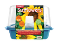 Dwarf sunflower sprouter terrarium kit in a blue tray with a clear dome and colorful label.