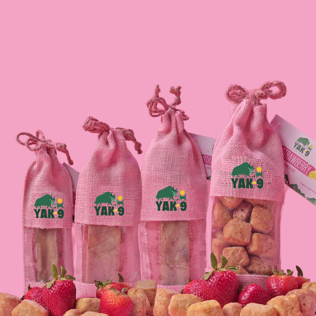 Set of YAK 9 strawberry cheese chew pouches with treats inside and fresh strawberries
